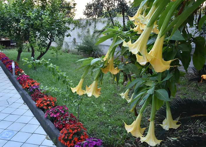 Kalasaja Oda ve Kahvaltı